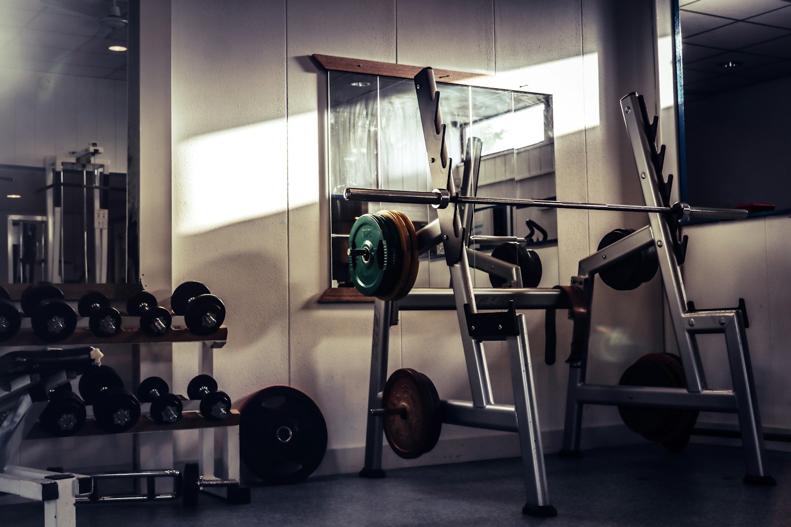 Best Squat Racks & Half Racks
